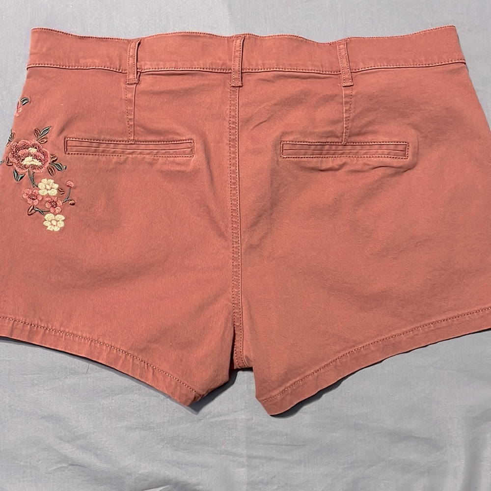 Express Shorts - Picture 6 of 9